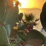 ヴィラ Tina Tropea Costa Dei Monaci Parghelia, Sabbia Fine E Bianca E Mare Cristallino *