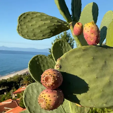 Tina Costa Dei Monaci Parghelia, Sabbia Fine E Bianca E Mare Cristallino
